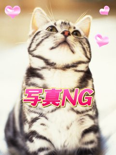 �݂炢�i�̌��j